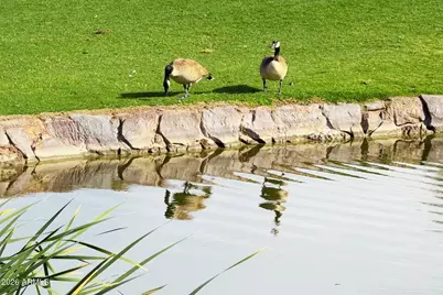 9623 S 51st Street, Phoenix, AZ 85044 - Photo 46