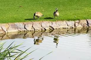 9623 S 51st St, Phoenix, AZ 85044 - Photo 46