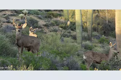 9162 E Sky Line Drive, Scottsdale, AZ 85262 - Photo 116