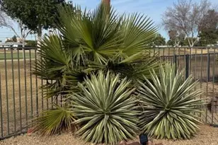 12236 N Pebble Beach Dr, Sun City, AZ 85351 - Photo 24