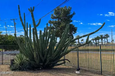 12236 N Pebble Beach Drive, Sun City, AZ 85351 - Photo 24