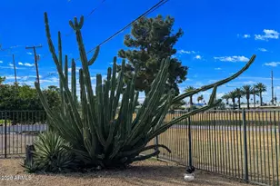 12236 N Pebble Beach Dr, Sun City, AZ 85351 - Photo 24
