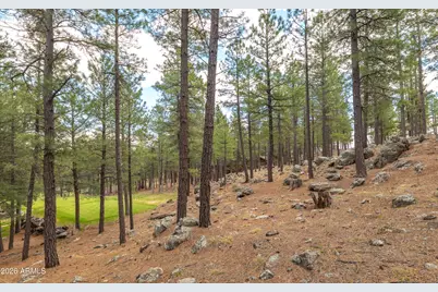 2832 Andrew Douglass -- #802, Flagstaff, AZ 86005 - Photo 10