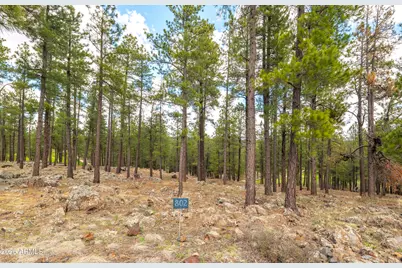 2832 Andrew Douglass -- #802, Flagstaff, AZ 86005 - Photo 6