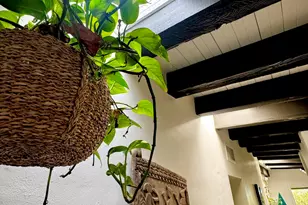 3126 N 28th St, Phoenix, AZ 85016 - Photo 34