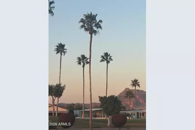 2664 N Lema Drive, Mesa, AZ 85215 - Photo 38