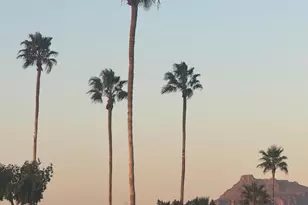 2664 N Lema Dr, Mesa, AZ 85215 - Photo 38