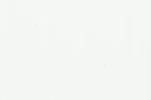 13603 W Bolero Dr, Sun City West, AZ 85375 - Photo 10