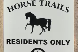 12054 S Tonalea Dr, Phoenix, AZ 85044 - Photo 66