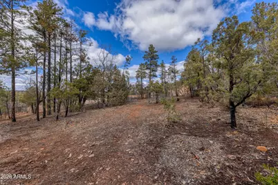 4701 S Pine Way #9, Show Low, AZ 85901 - Photo 10