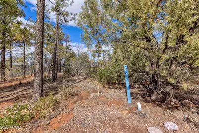4701 S Pine Way #9, Show Low, AZ 85901 - Photo 10