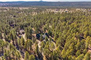 890 E Hattie Greene, Flagstaff, AZ 86001 - Photo 96