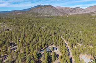 890 E Hattie Greene, Flagstaff, AZ 86001 - Photo 88