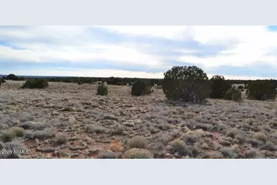 141 County Rd N9211 -- #-, Snowflake, AZ 85937 - Photo 10