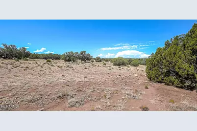 141 County Rd N9211 -- #-, Snowflake, AZ 85937 - Photo 6