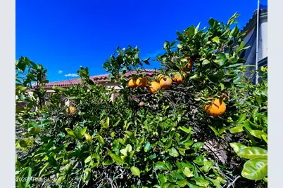 14313 W Alvarado Drive, Goodyear, AZ 85395 - Photo 22