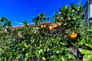 14313 W Alvarado Dr, Goodyear, AZ 85395 - Photo 22