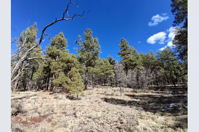 13696 E Kings Deer Road #-, Parks, AZ 86018 - Photo 22