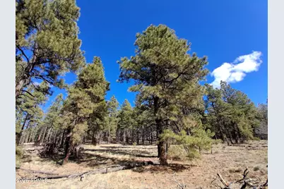 13696 E Kings Deer Road #-, Parks, AZ 86018 - Photo 20