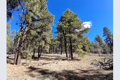 13696 E Kings Deer Road #-, Parks, AZ 86018 - Photo 18