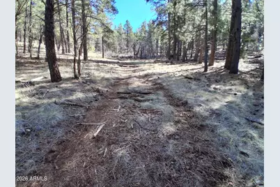 13696 E Kings Deer Road #-, Parks, AZ 86018 - Photo 14