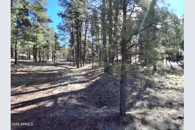 13696 E Kings Deer Road #-, Parks, AZ 86018 - Photo 12