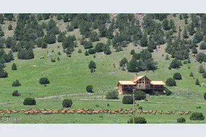 41198 US 180 --, Nutrioso, AZ 85932 - Photo 46