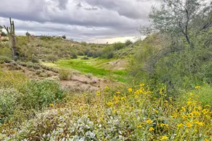 300 N Elizabeth St, Queen Valley, AZ 85118 - Photo 1