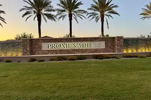 2804 W Havasu Dr, San Tan Valley, AZ 85144 - Photo 38