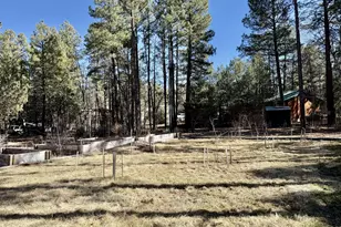 3918 Meadow View Dr, Lakeside, AZ 85929 - Photo 34