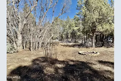 3918 Meadow View Drive, Lakeside, AZ 85929 - Photo 36