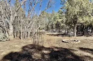 3918 Meadow View Dr, Lakeside, AZ 85929 - Photo 36