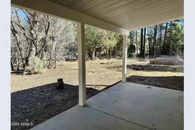 3918 Meadow View Drive, Lakeside, AZ 85929 - Photo 32