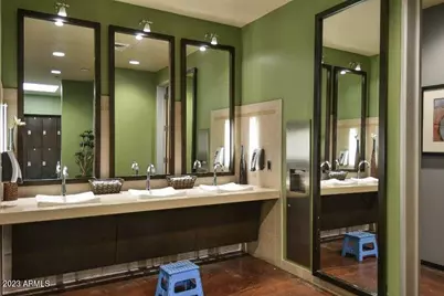 3842 E Cat Balue Drive, Phoenix, AZ 85050 - Photo 44