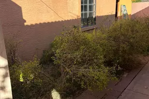 10517 W Catalina Dr, Avondale, AZ 85392 - Photo 40