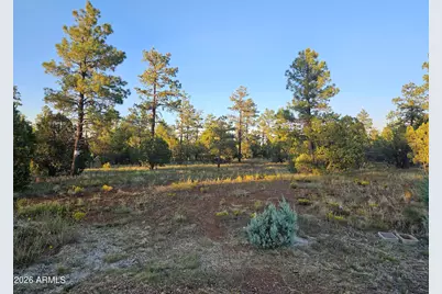 4843 W Bison Trail #41, Lakeside, AZ 85929 - Photo 8