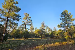 4843 W Bison Trail, Lakeside, AZ 85929 - Photo 1