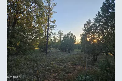 4843 W Bison Trail #41, Lakeside, AZ 85929 - Photo 6