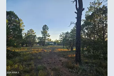 4843 W Bison Trail #41, Lakeside, AZ 85929 - Photo 4