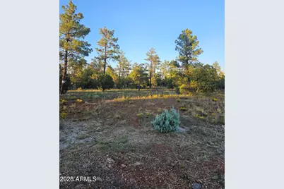 4843 W Bison Trail #41, Lakeside, AZ 85929 - Photo 2