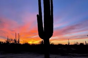 33597 E Davis Ranch Rd, Marana, AZ 85658 - Photo 44