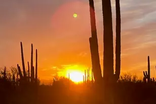 33597 E Davis Ranch Rd, Marana, AZ 85658 - Photo 40