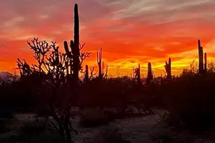 33597 E Davis Ranch Rd, Marana, AZ 85658 - Photo 48