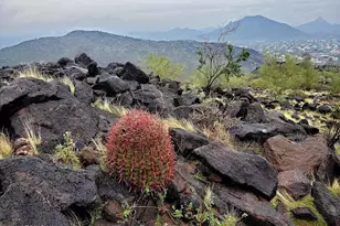 3025 W Kerry Ln, Phoenix, AZ 85027 - Photo 40
