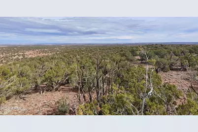 86 N N8433 -- #416, Concho, AZ 85924 - Photo 4