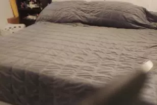 397 N Lobb Ave, Superior, AZ 85173 - Photo 10