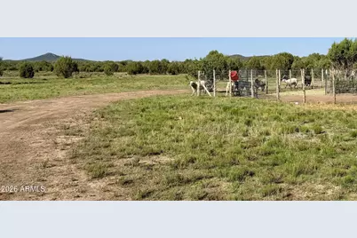 12700 Madman Mountain Road, Williams, AZ 86046 - Photo 22