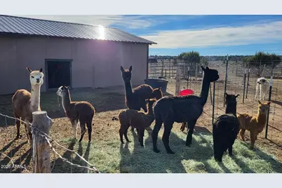 12700 Madman Mountain Road, Williams, AZ 86046 - Photo 58