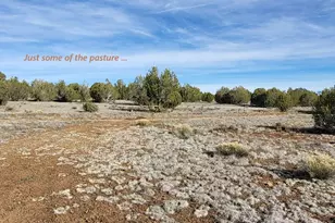12700 Mad Man Mountain Rd, Williams, AZ 86046 - Photo 54