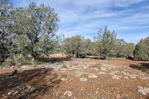 12700 Mad Man Mountain Rd, Williams, AZ 86046 - Photo 36